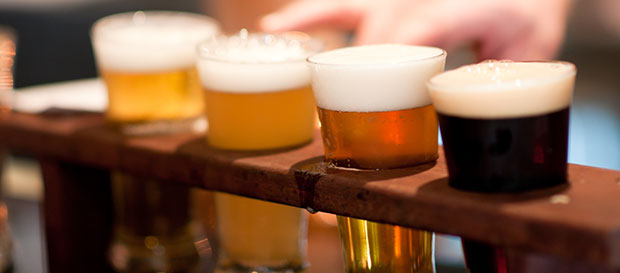 Cottage Grove Hotel Animal House Package